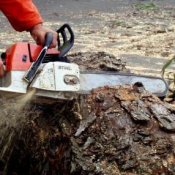 Práce s motorovou pilou
